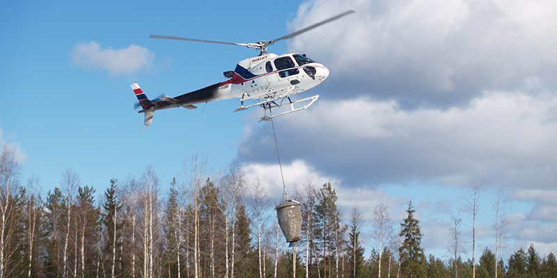 Helikopteri levittää tuhkalannoitetta metsään. 