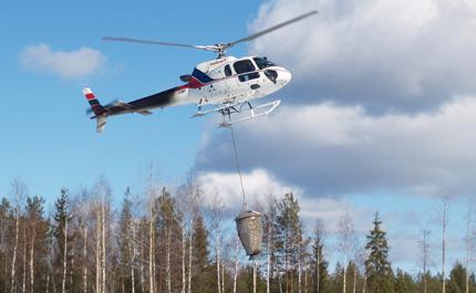 Helikopteri levittää tuhkalannoitetta metsään. 