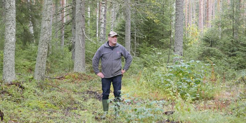 Metsänomistaja ja metsästäjät sopivat metsästysoikeudesta  vuokrasopimuksella - Metsään-lehti