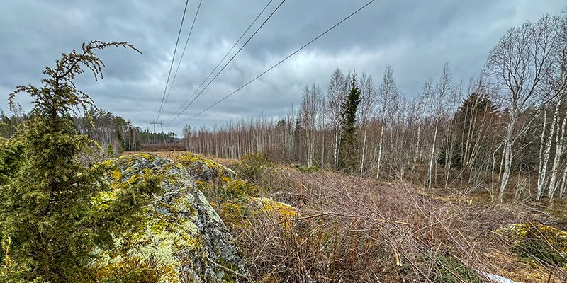 Sähkölinjan alla riistatiheikköä, kalliota ja katajia. 
