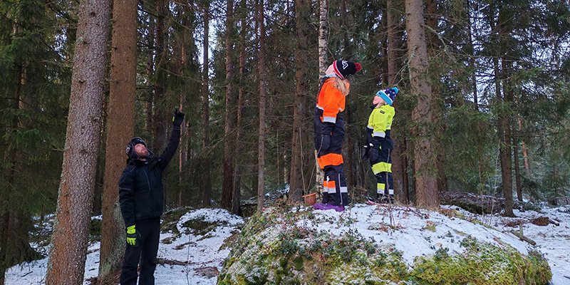 Mies osoittaa ylöspäin puita. Lapset seisovat vieressä isolla kivellä ja katsovat puita. 