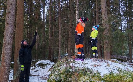 Mies osoittaa ylöspäin puita. Lapset seisovat vieressä isolla kivellä ja katsovat puita. 