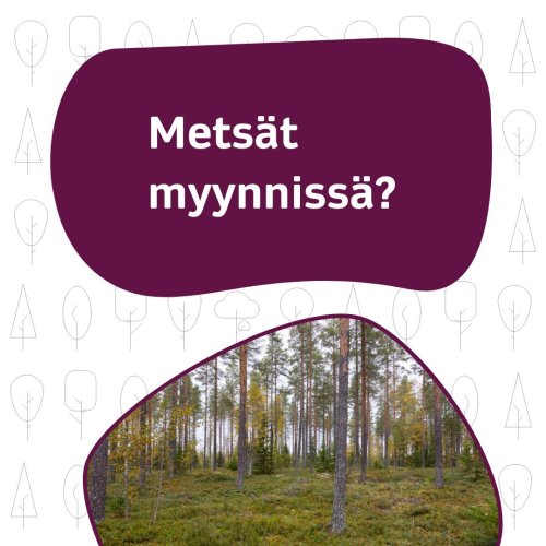 Tiedätkö, miten voit selvittää metsäsi arvon? Kun metsätila vaihtaa omistajaa, on aina tarpeen selvittää metsän arvo. Ti...