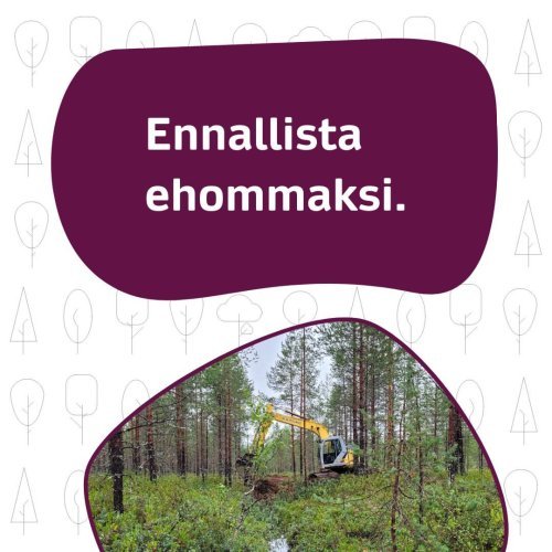 Tiesitkö, että Helmi-ohjelman tavoitteena on ennallistaa lähes 60 000 hehtaaria soita vuoteen 2030 mennessä? Ennallistam...