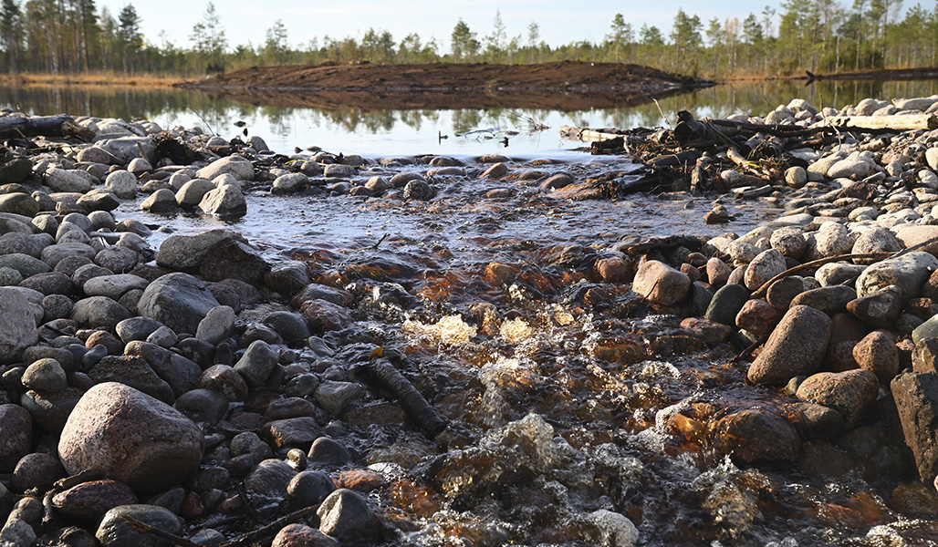 Vettä virtaa kivenmurikoista kasatun pohjapadon ylitse. 