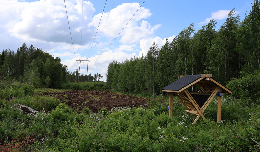 Riistapelto ja -ruokintapaikka sähkölinjan alla.