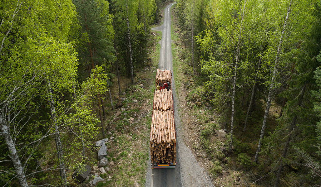 Metsätiellä kulkee puutavara-auto kesällä. 